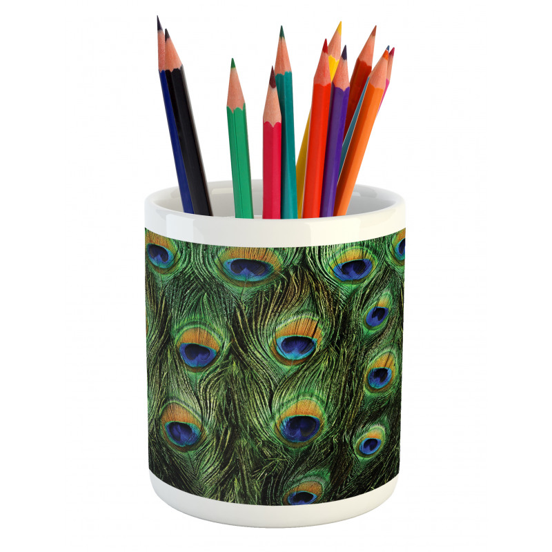 Exotic Animal Feathers Pencil Pen Holder
