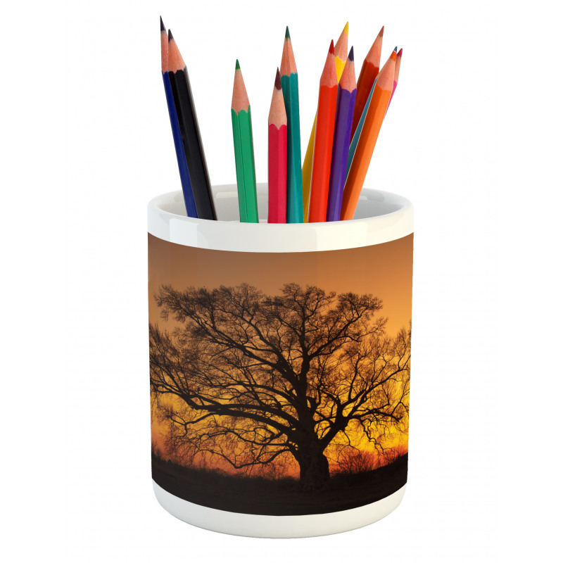 Old Oak at Sunset View Pencil Pen Holder