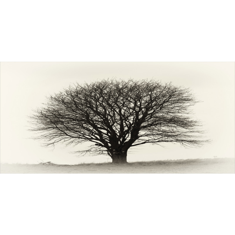 Fall Tree Monochrome Art Pencil Pen Holder