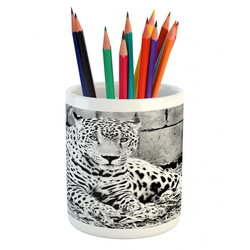 Wild Tiger Jaguar Pencil Pen Holder