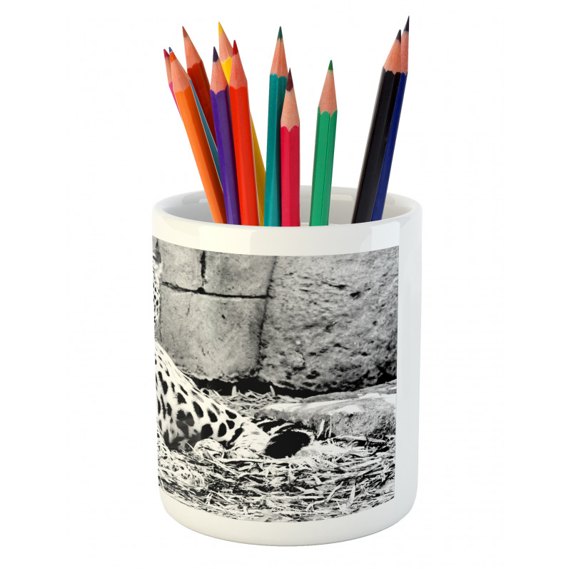 Wild Tiger Jaguar Pencil Pen Holder