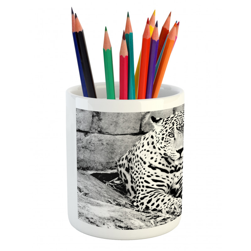 Wild Tiger Jaguar Pencil Pen Holder