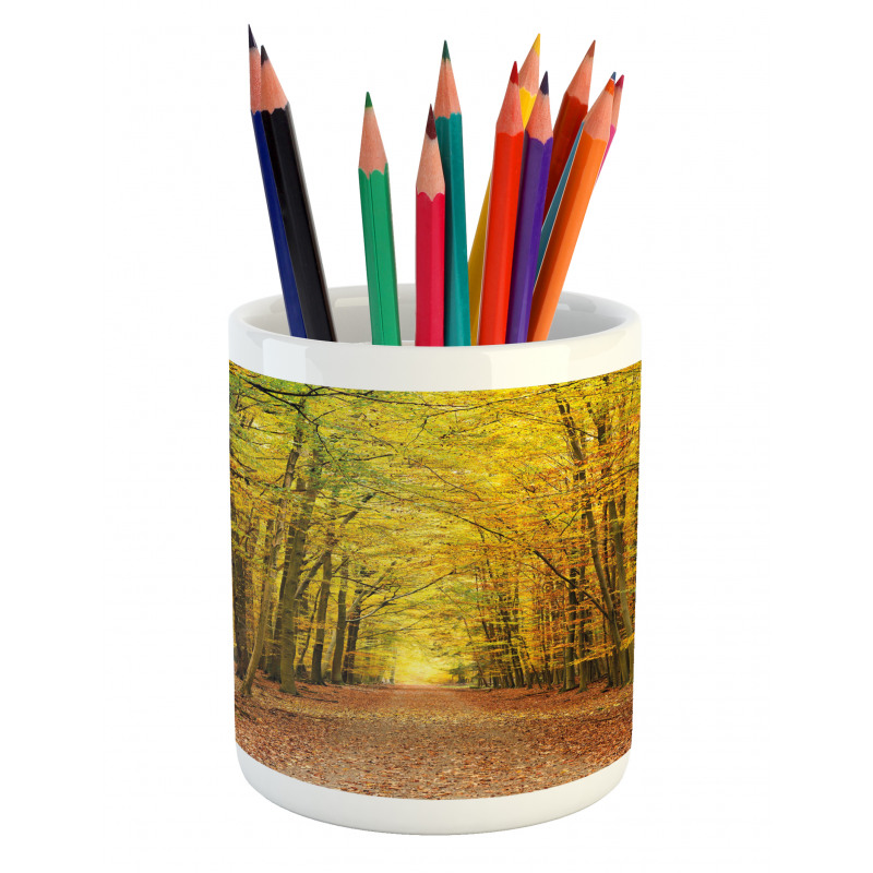 Pathway into the Forest Pencil Pen Holder