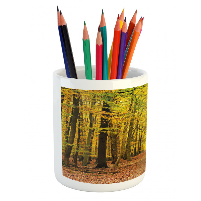 Pathway into the Forest Pencil Pen Holder