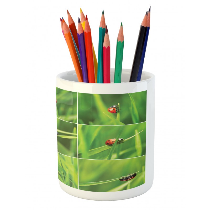 Ladybug over Fresh Grass Pencil Pen Holder