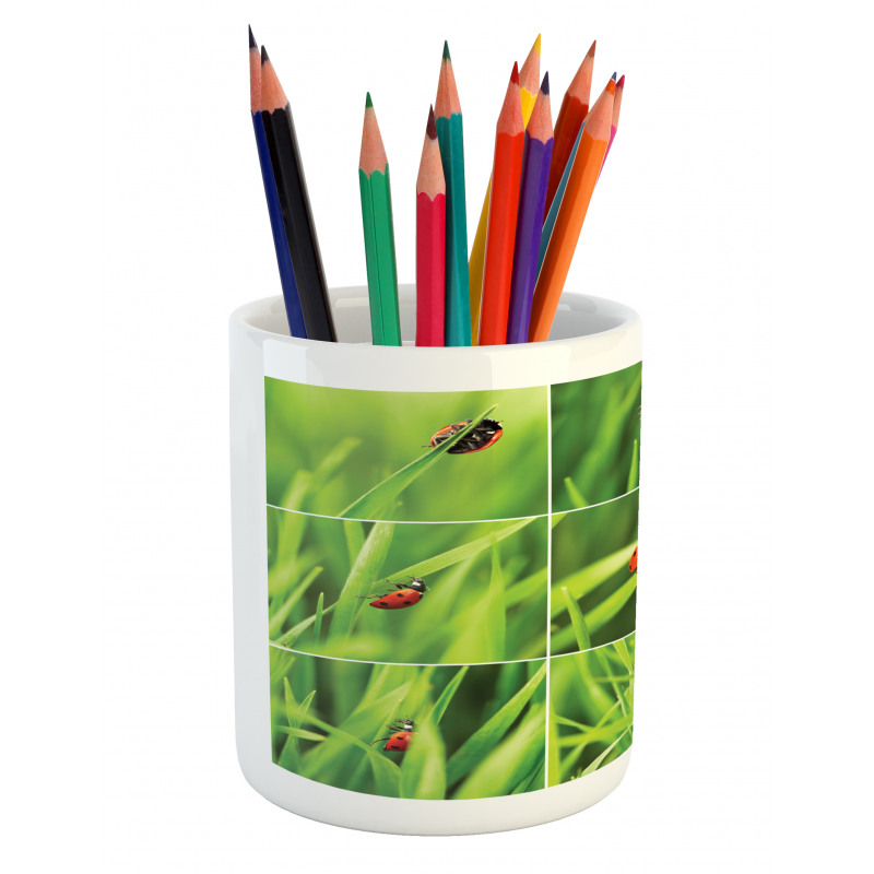 Ladybug over Fresh Grass Pencil Pen Holder