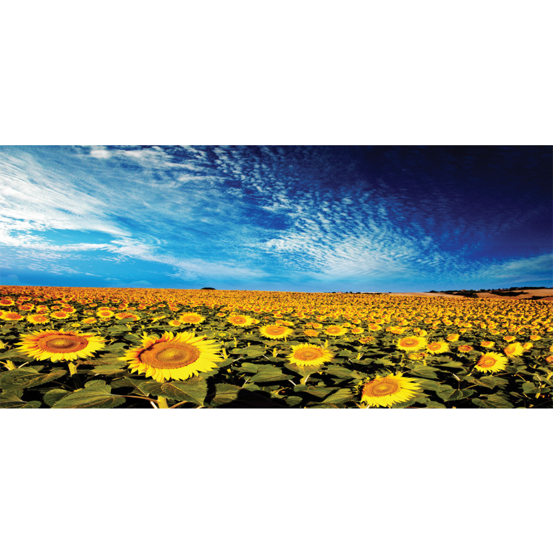 Sunflower Garden Nature Pencil Pen Holder