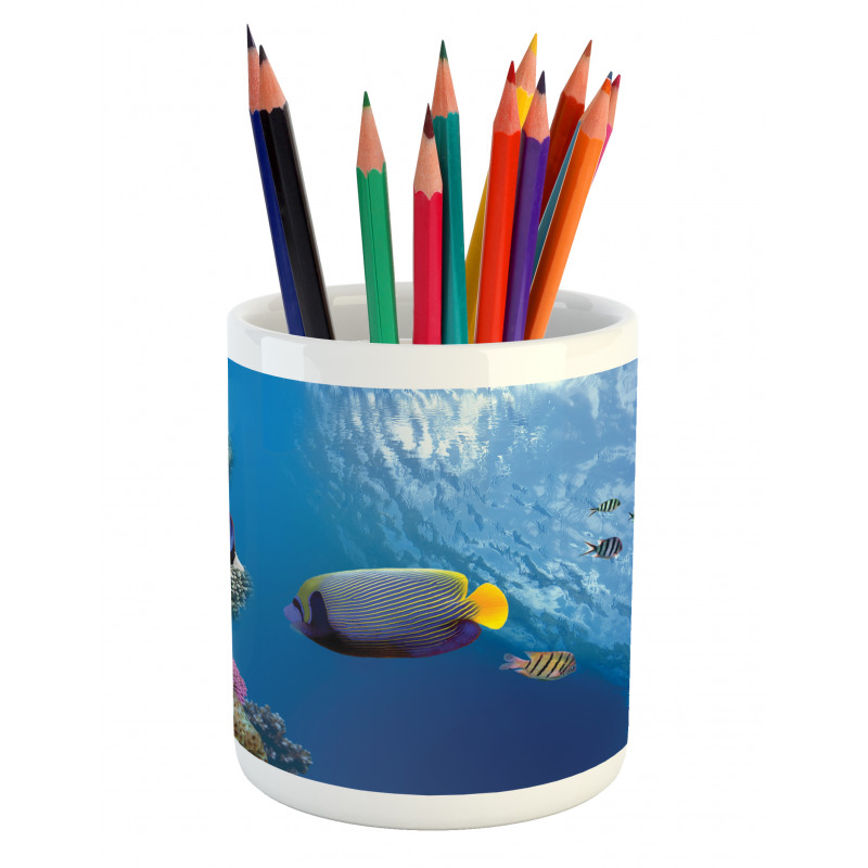 Underwater Fish Sea Pencil Pen Holder