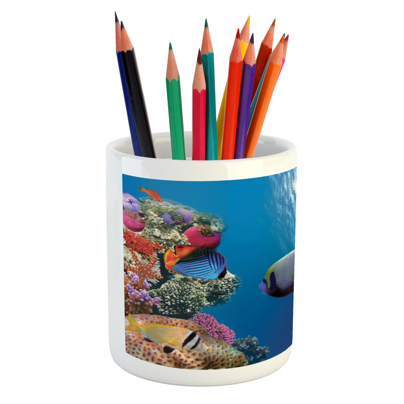 Underwater Fish Sea Pencil Pen Holder