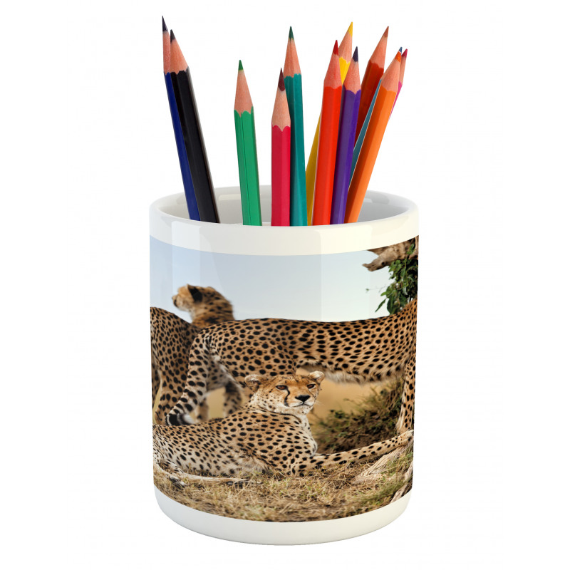 Safari Animal Cheetahs Pencil Pen Holder