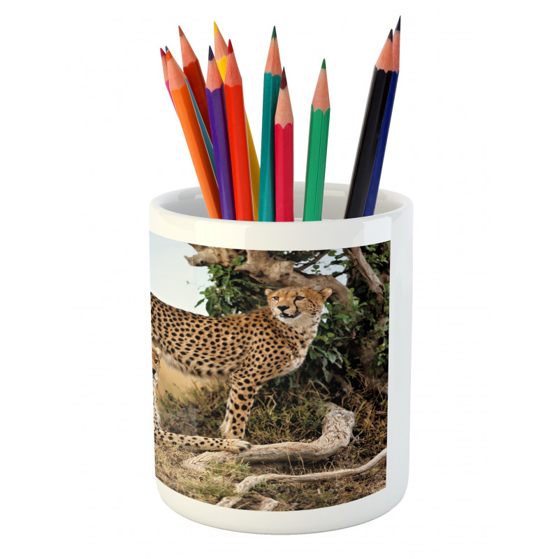 Safari Animal Cheetahs Pencil Pen Holder