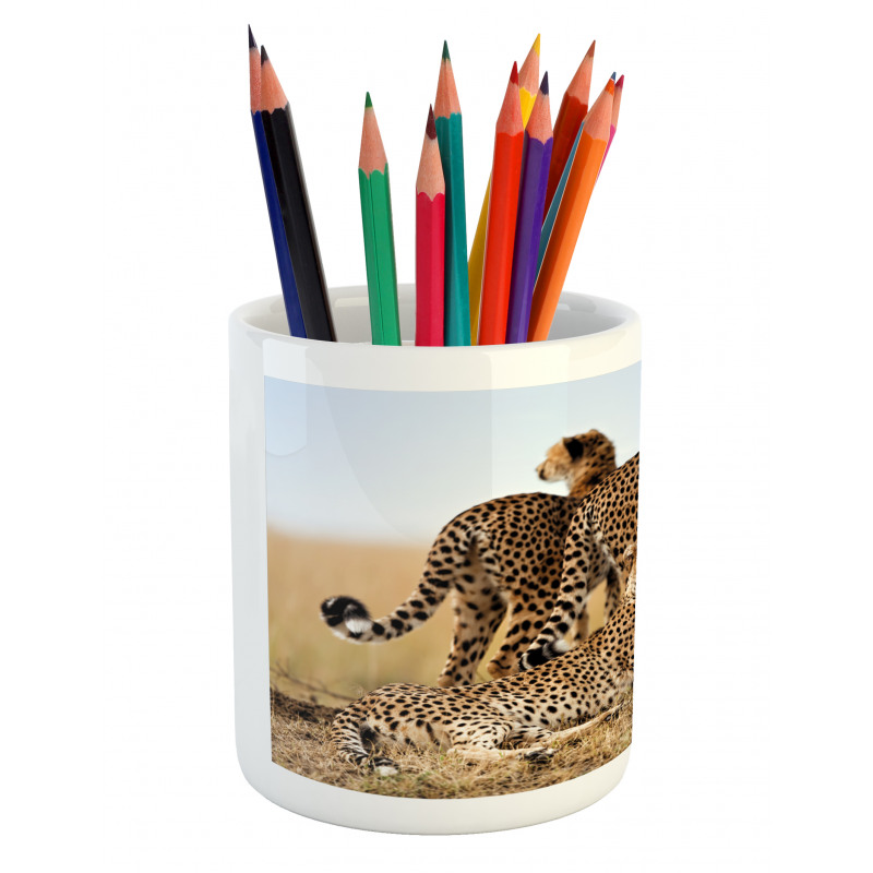 Safari Animal Cheetahs Pencil Pen Holder