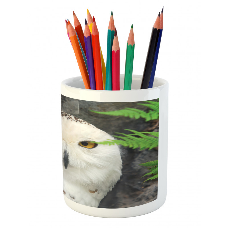 Magician Pet White Owl Pencil Pen Holder