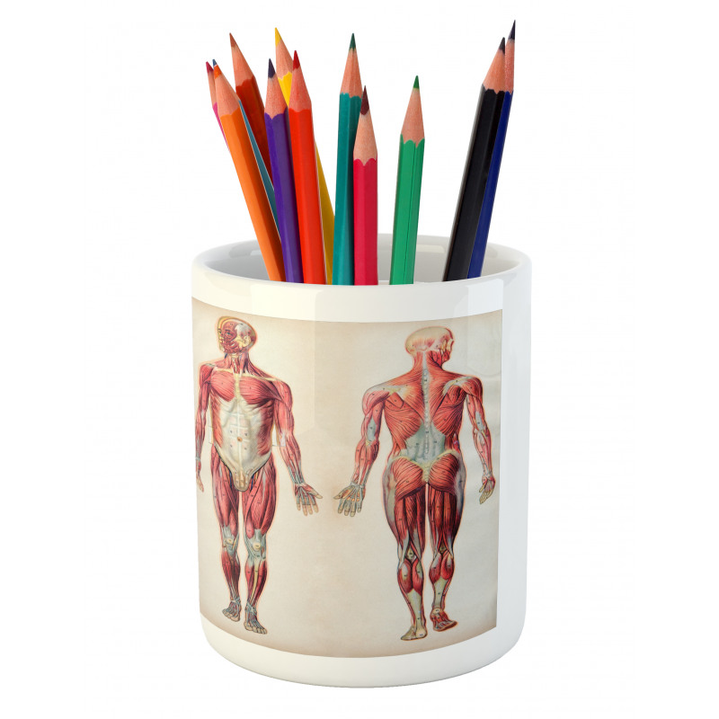 Anatomy Human Body Pencil Pen Holder