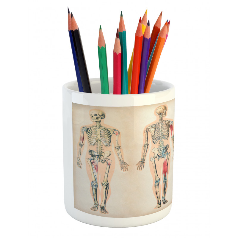 Anatomy Human Body Pencil Pen Holder