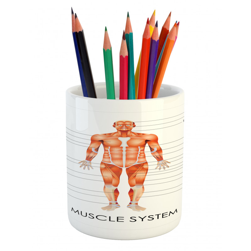 Biology Muscle System Pencil Pen Holder