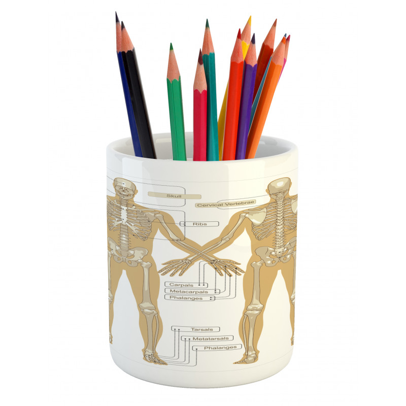 Human Skeleton System Pencil Pen Holder
