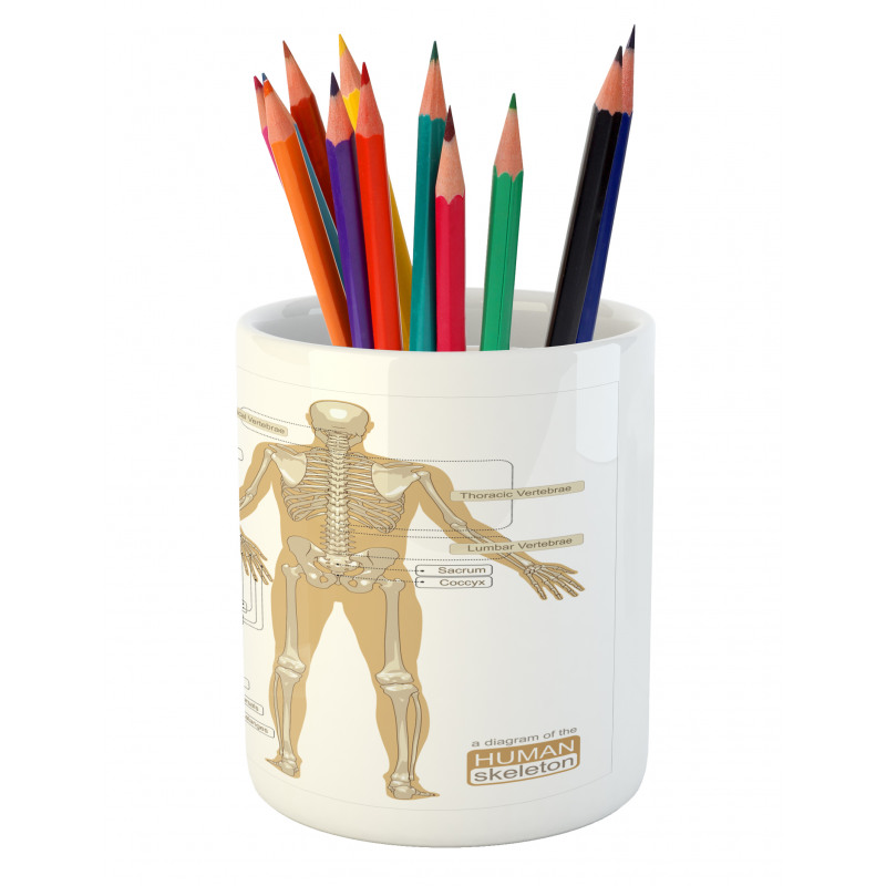 Human Skeleton System Pencil Pen Holder