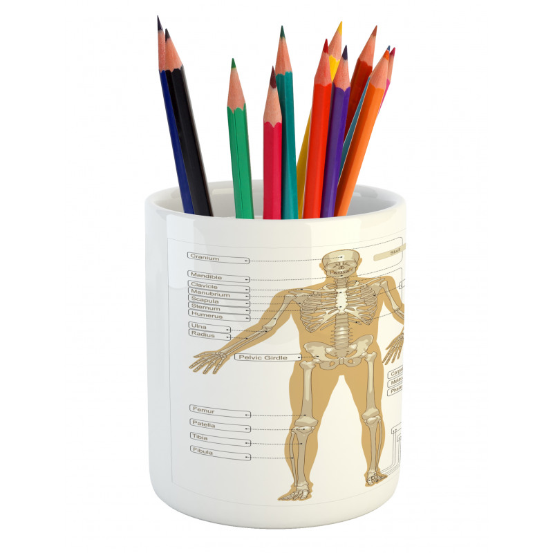 Human Skeleton System Pencil Pen Holder