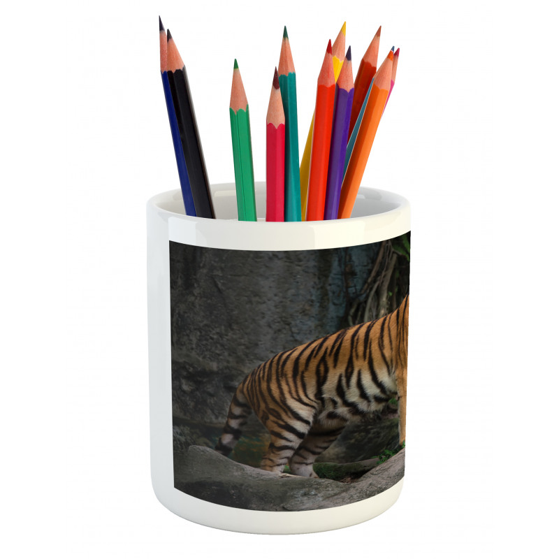 Tiger Couple in Jungle Pencil Pen Holder
