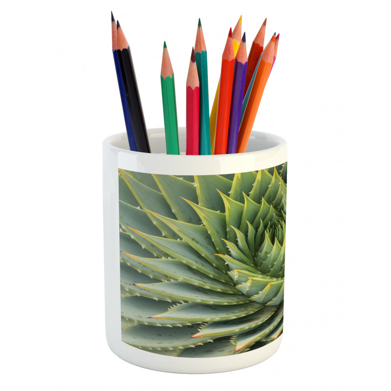 Western Botanic Plant Pencil Pen Holder