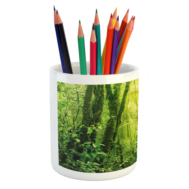 Tropical Amazon Forest Pencil Pen Holder