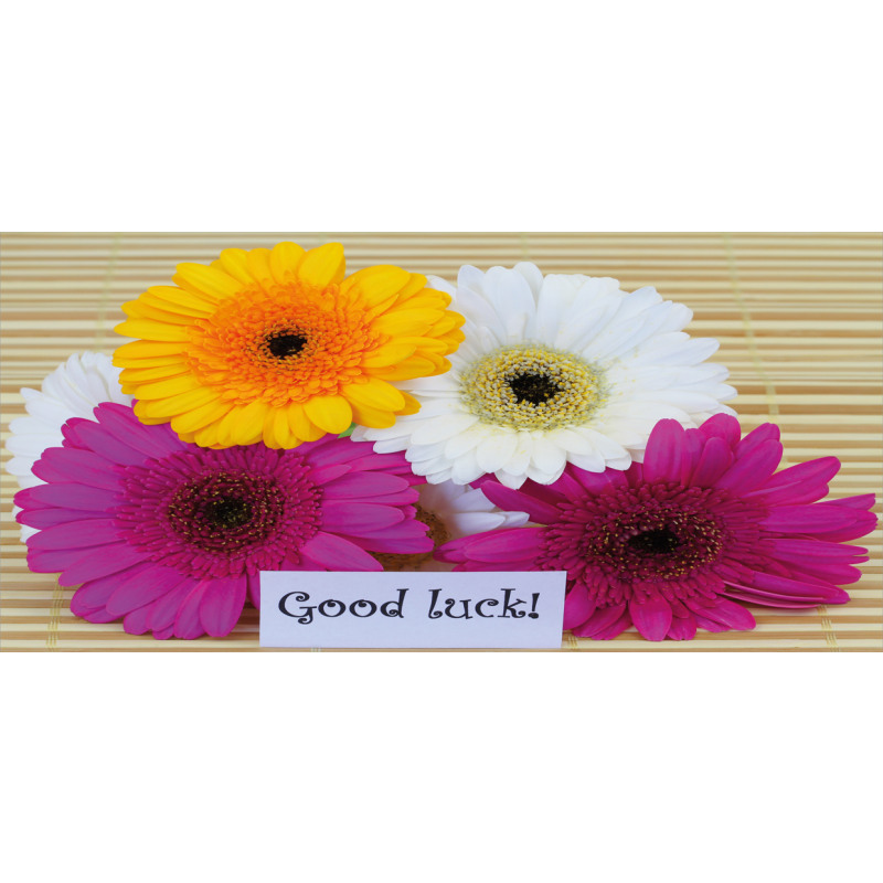 Luck Colorful Pencil Pen Holder