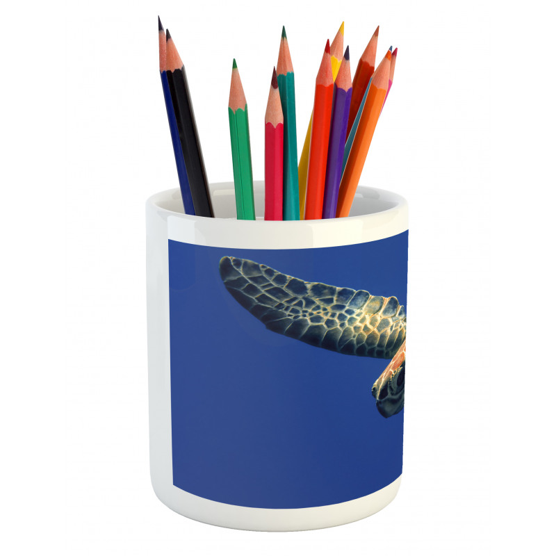 Sea Animal Swimming Pencil Pen Holder