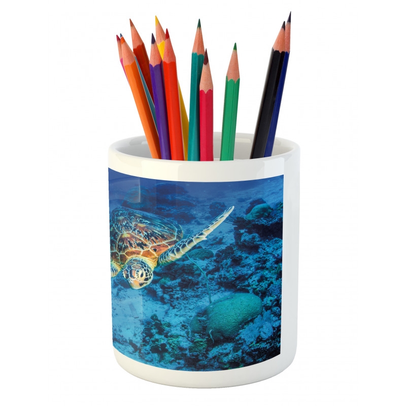 Oceanic Wildlife Pencil Pen Holder
