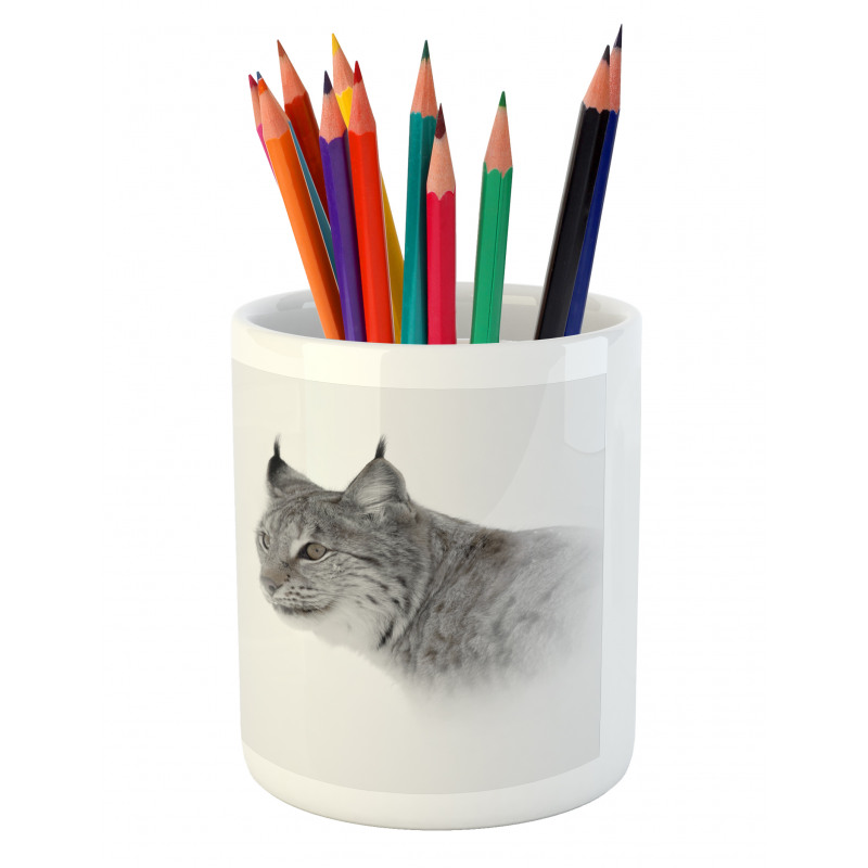 Wild Lynx Norway Pencil Pen Holder