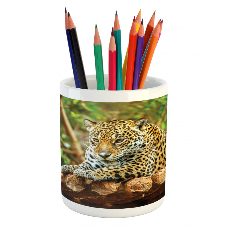 Jaguar on Wood Wild Feline Pencil Pen Holder