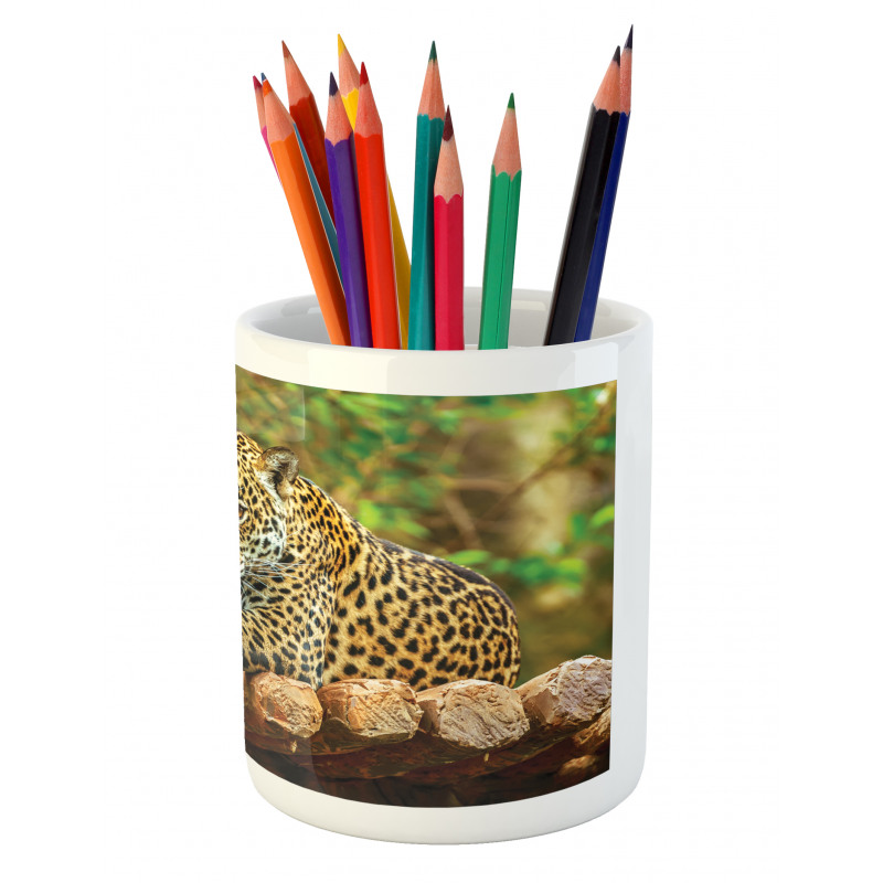 Jaguar on Wood Wild Feline Pencil Pen Holder