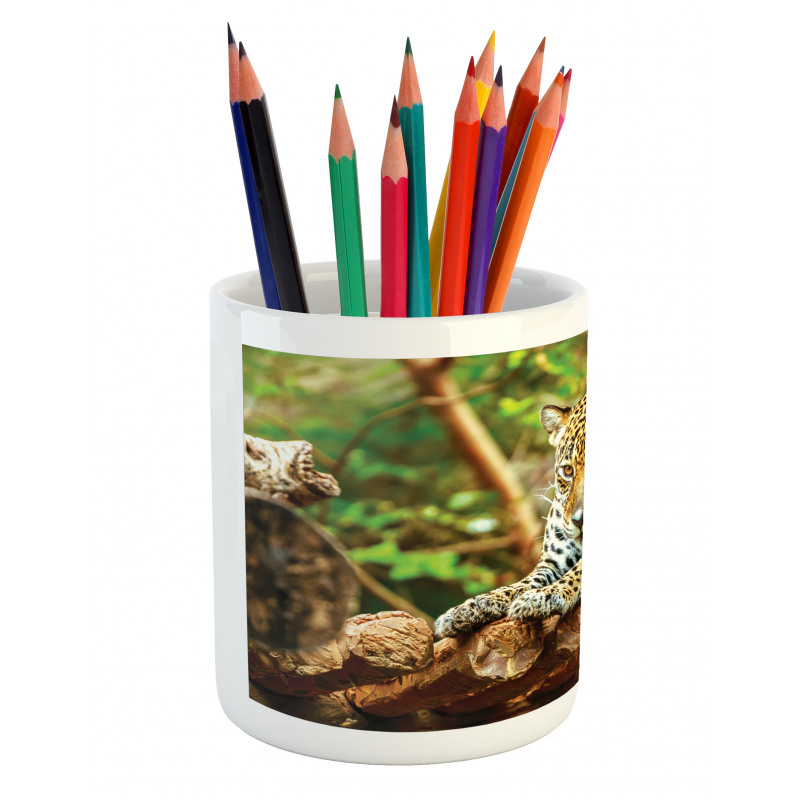 Jaguar on Wood Wild Feline Pencil Pen Holder