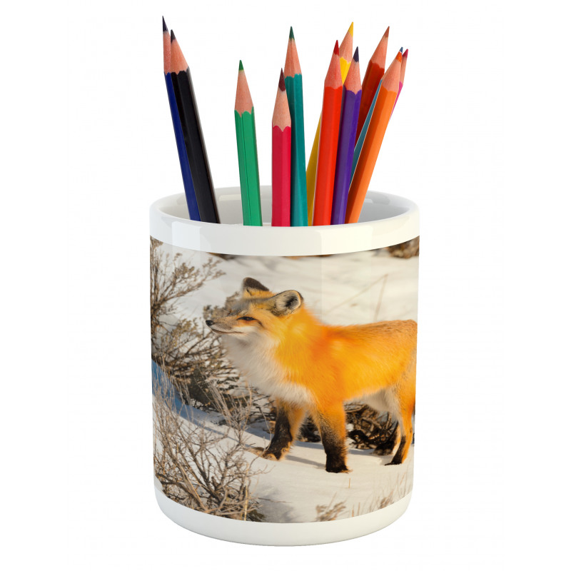 Red Fox in Snowy Nature Pencil Pen Holder