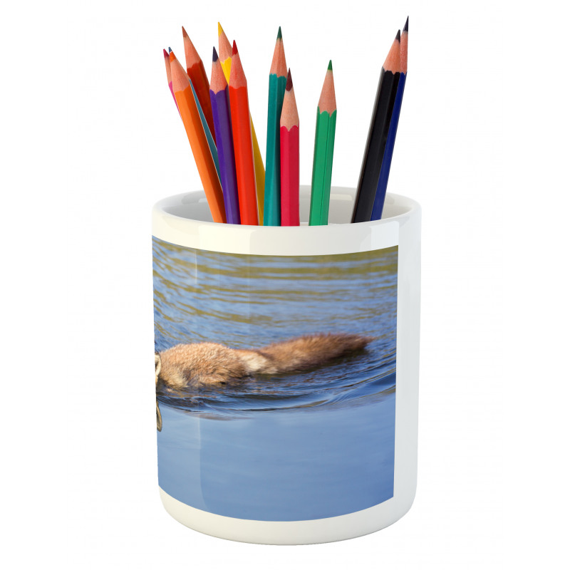 Fox Swimming in River Pencil Pen Holder