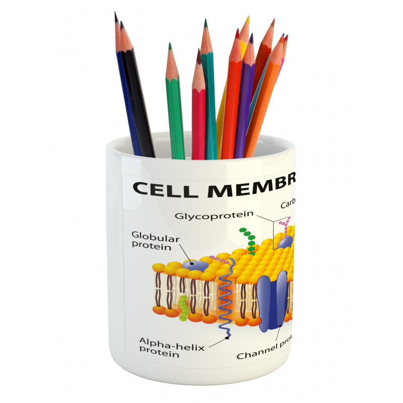 Membrane Cell Types Pencil Pen Holder