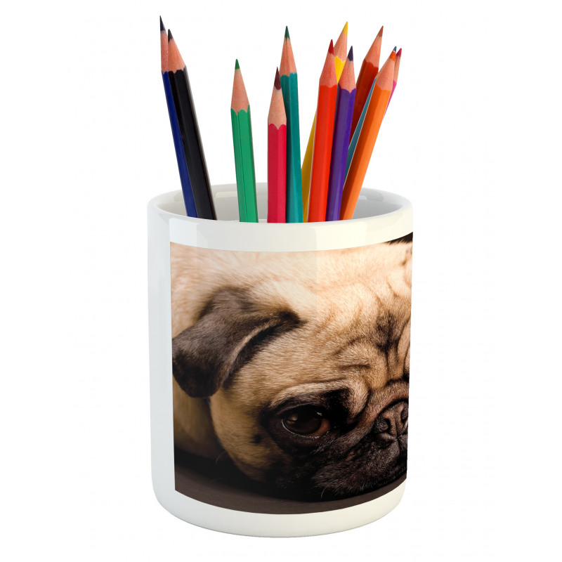 Puppy Photograph Animals Pencil Pen Holder