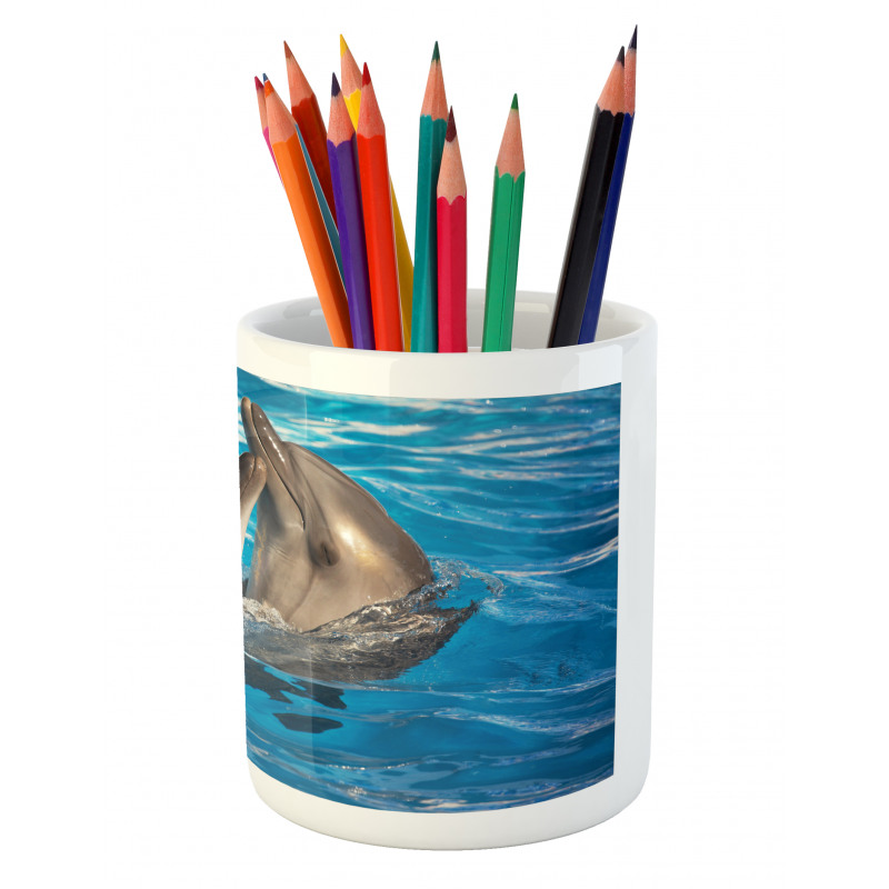 Aqua Show Photography Pencil Pen Holder