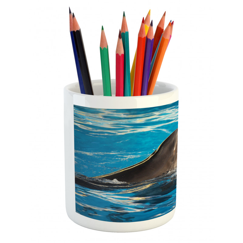 Aqua Show Photography Pencil Pen Holder