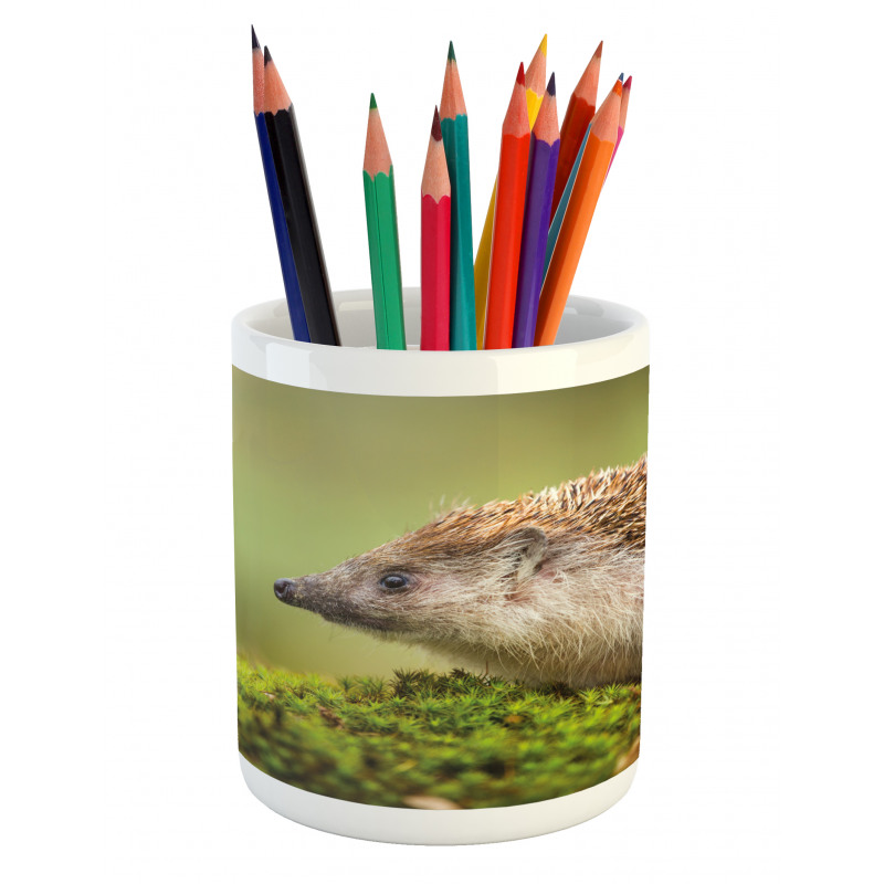 Eastern Europe Scene Pencil Pen Holder