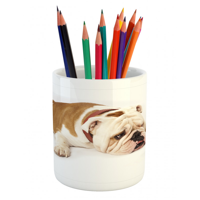 Sad Animal Pencil Pen Holder