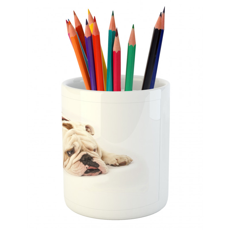 Sad Animal Pencil Pen Holder