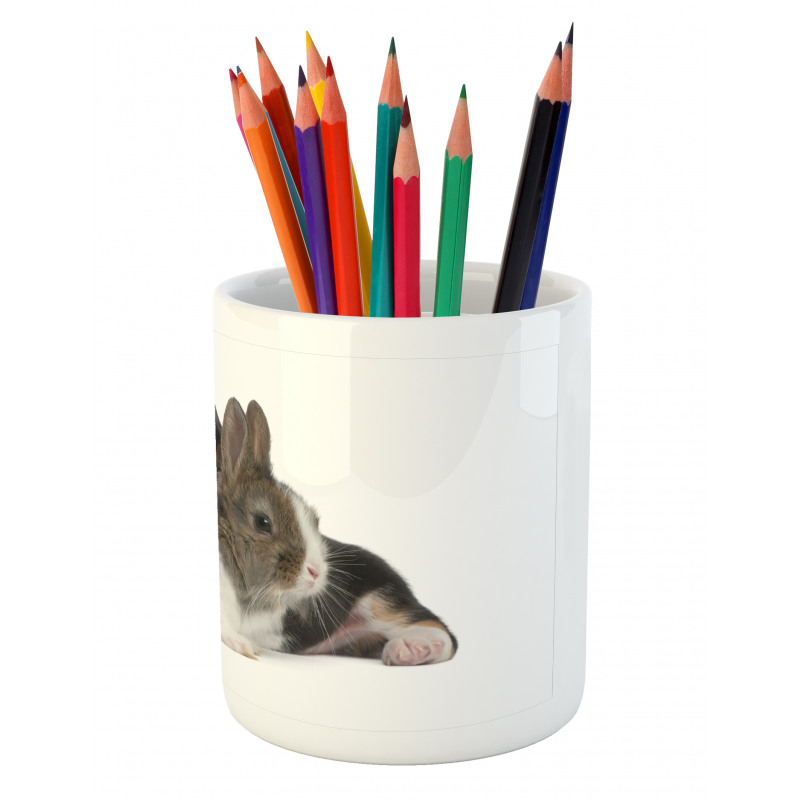 Rabbit Puppy Pet Friends Pencil Pen Holder