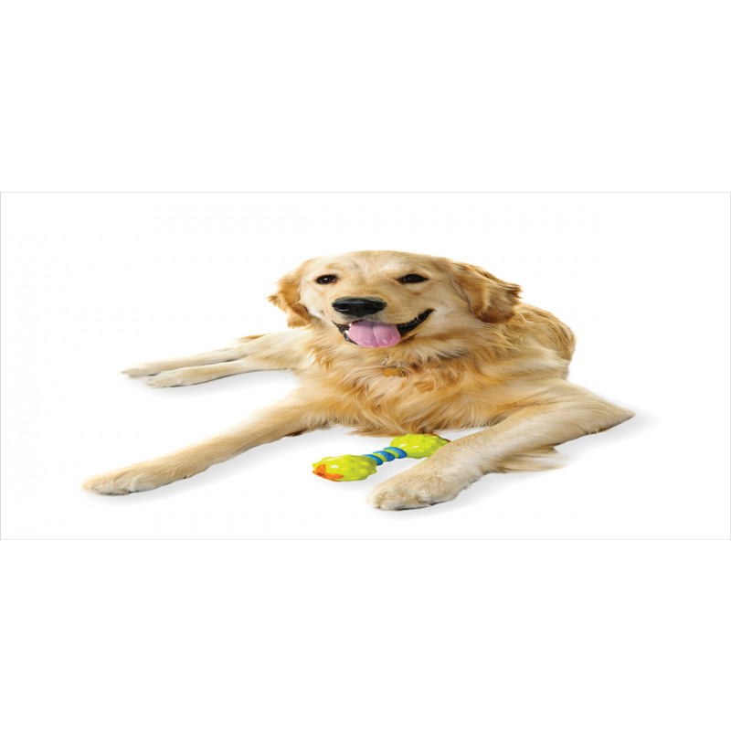 Pet Dog Toy Pencil Pen Holder