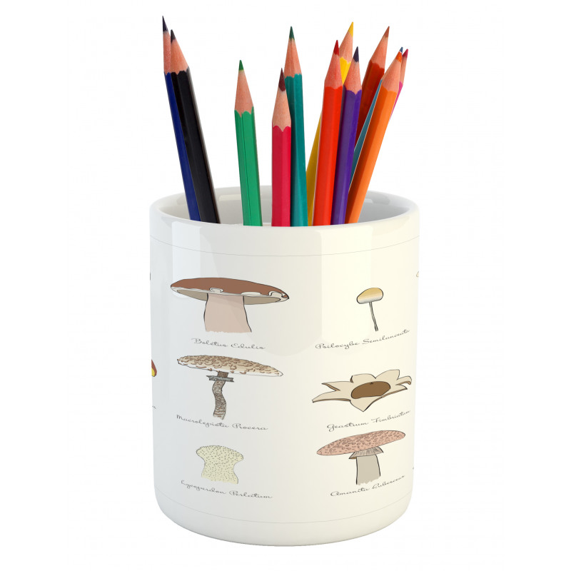 Blusher Boletus Sketch Pencil Pen Holder