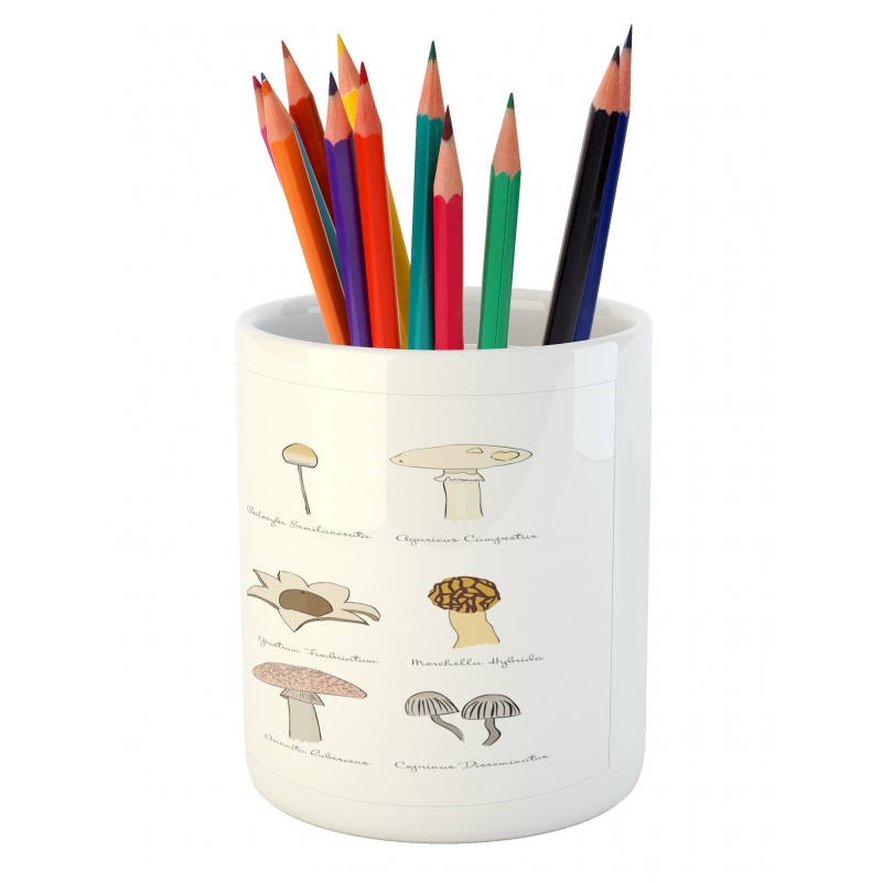 Blusher Boletus Sketch Pencil Pen Holder