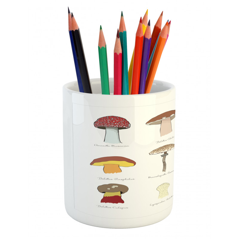 Blusher Boletus Sketch Pencil Pen Holder