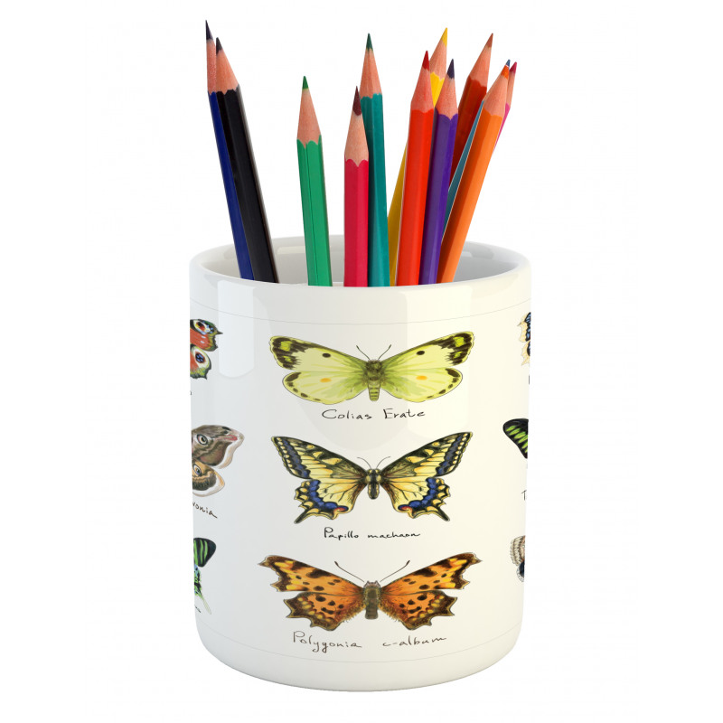 Spring Bugs Pattern Pencil Pen Holder