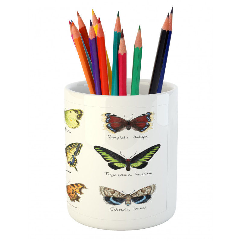 Spring Bugs Pattern Pencil Pen Holder