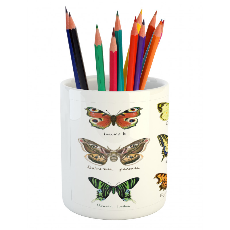 Spring Bugs Pattern Pencil Pen Holder